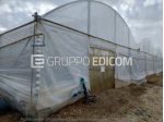 Terreno in vendita a Noto - Rif. 4550466