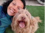 Gigi simil lagotto