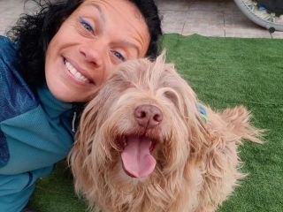 Gigi simil lagotto