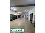 MQ 250 ROMA, ZONA COLLE PRENESTINO, Rif. A-516.