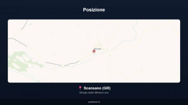 Immobile in asta di 2061 m² in vendita a Scansano - Foto 5