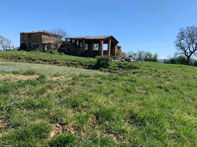 Rustico in vendita a Asciano 9500 mq Rif: 1340021 - Foto 8