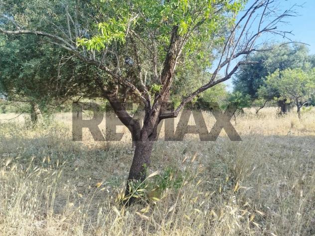 Terreno in vendita a Canicattini Bagni - Foto 5