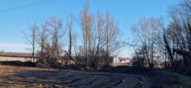 Immobile in asta di 8480 m² in vendita a Carisio - Foto 3