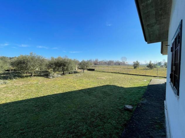 Trilocale in affitto a Ferentino - Foto 12