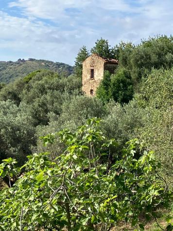 Casa di campagna in Via Campanina - Foto 19
