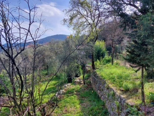 Rustico in vendita a Ameglia