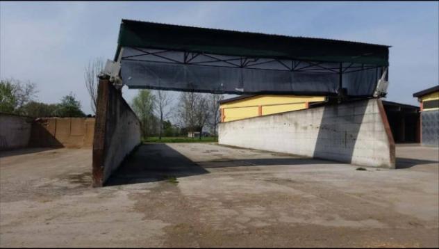 Immobile in asta di 43305 m² in vendita a Camisano - Foto 5