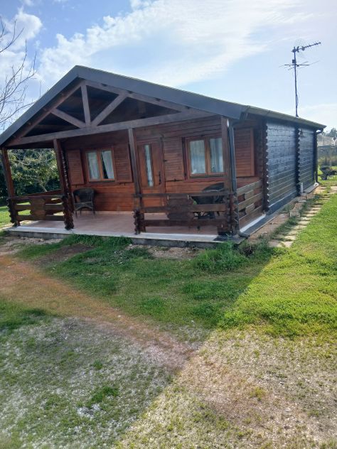 Affitto chalet in legno