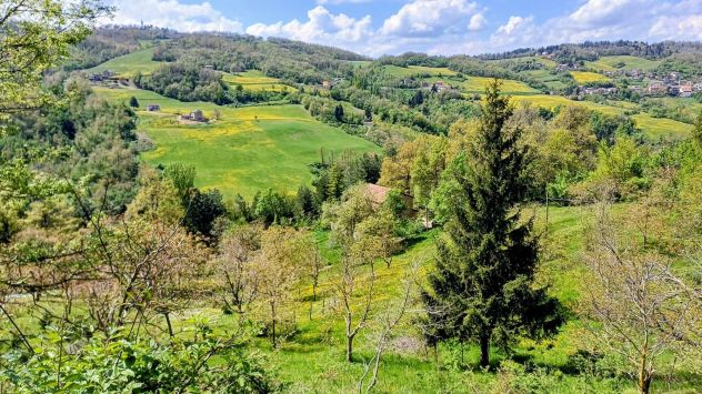 Affittasi ampia luminosa stanza con bagno privato in contesto immerso nel natura - Foto 4