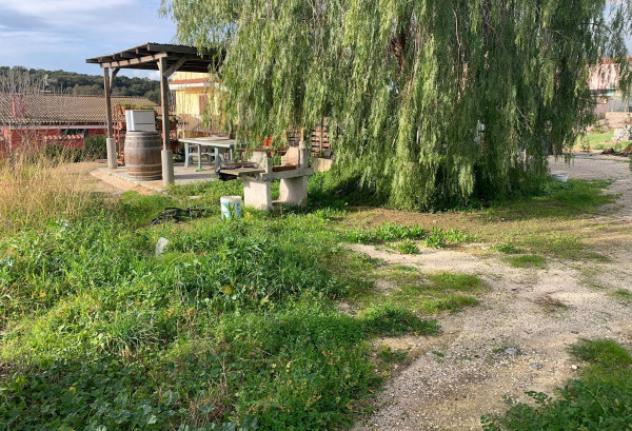 Immobile in asta di 1643 m² in vendita a Nettuno - Foto 7
