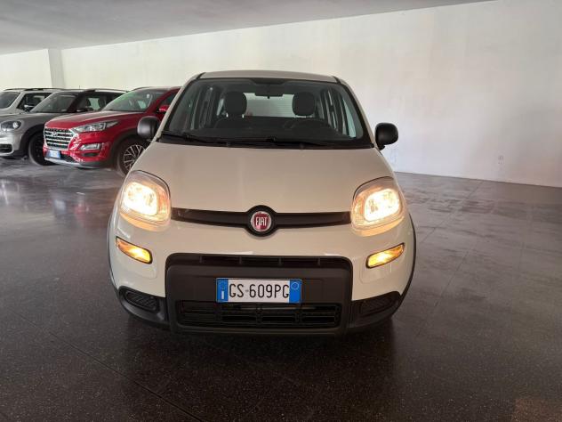 FIAT Panda Panda 1.0 firefly hybrid s&s 70cv 5p.ti - Foto 8
