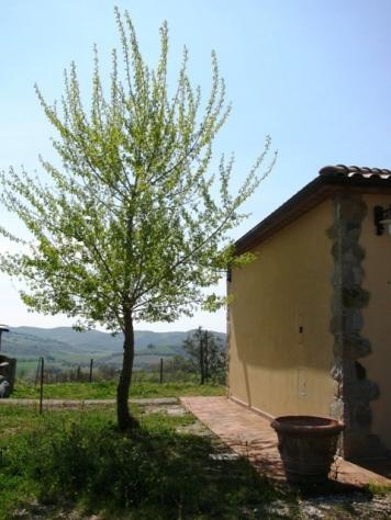 Villa in vendita a Manciano 250 mq Rif: 563470 - Foto 7