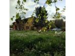 Albero Cavo B&B