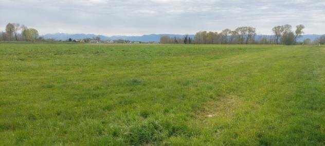 Terreno di 34149 m² in vendita a Piazzola sul Brenta - Foto 5