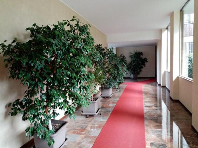 Ufficio 3 locali - Rif. 693 - Foto 3