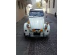Auto per eventi