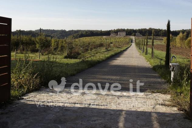 Rustico / Casale di 16000 m² con più di 5 locali in vendita a Rapolano Terme - Foto 3