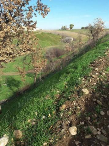 Immobile in asta di 43862 m² in vendita a Venosa - Foto 4
