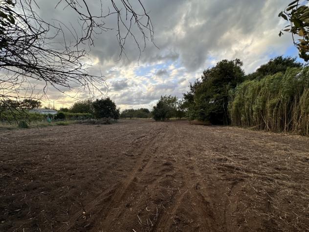 Magazzino in vendita a Borgia - Foto 6