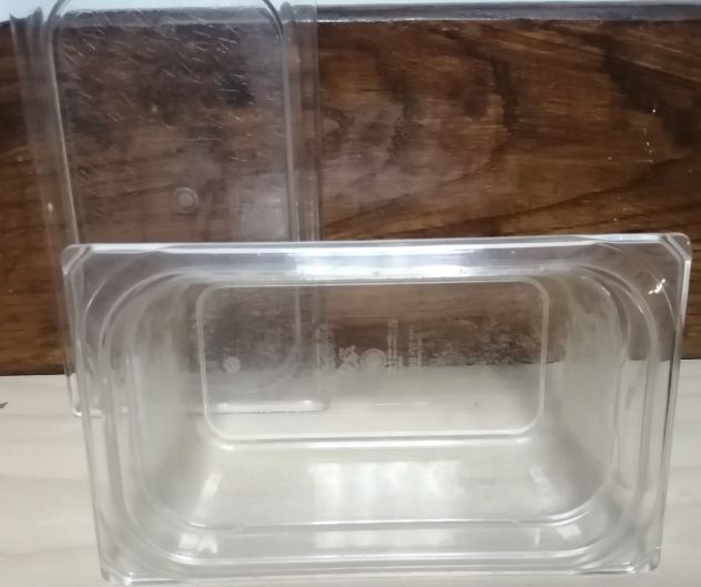 Bacinelle Gastronomia contenitori alimenti BGN 1/4 - 26,5x16,2 h10cm + COPERCHIO - Foto 7