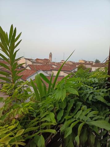 Room in Via Alboino, Pavia for 60 m² with 2 bedrooms - Foto 8