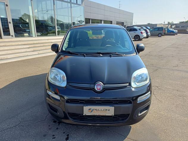 FIAT Panda 1.3 MJT Easy 1°PROP-GARANZIA-KM CERTIFICATI - Foto 3