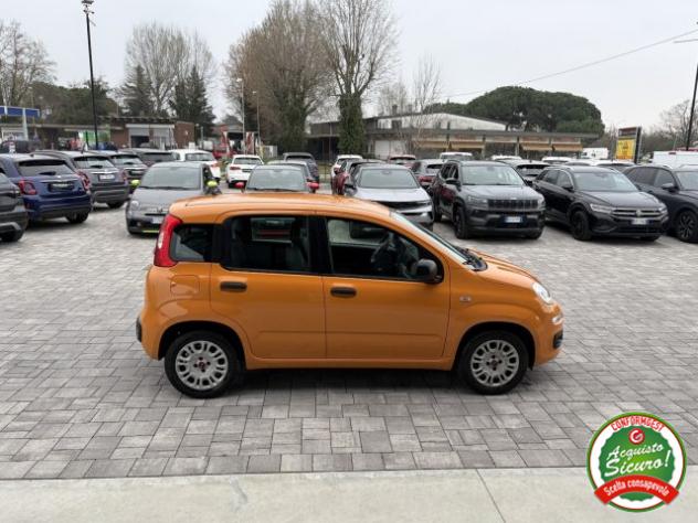FIAT Panda 1.2 Easy ANCHE PER NEOPATENTATI rif. 23808200 - Foto 7