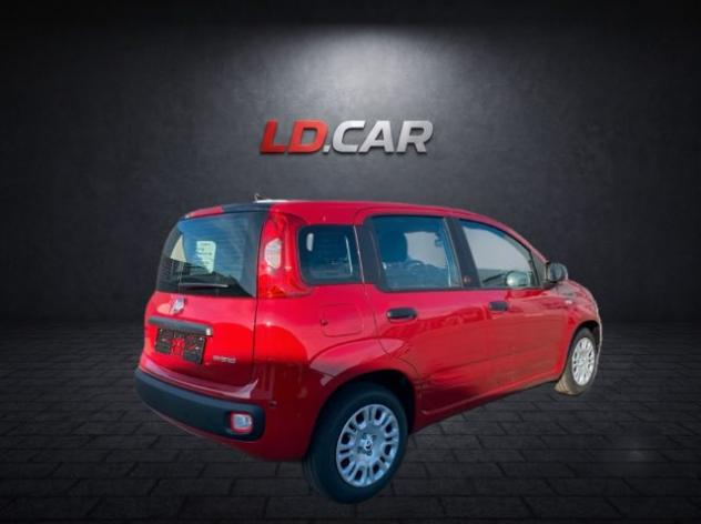 FIAT Pandina 1.0 FireFly 69cv Hybrid Pandina Icon 5 Posti rif. 23911865 - Foto 3