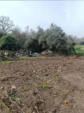 Immobile in asta di 136 m² con più di 5 locali in vendita a Caianello - Foto 6