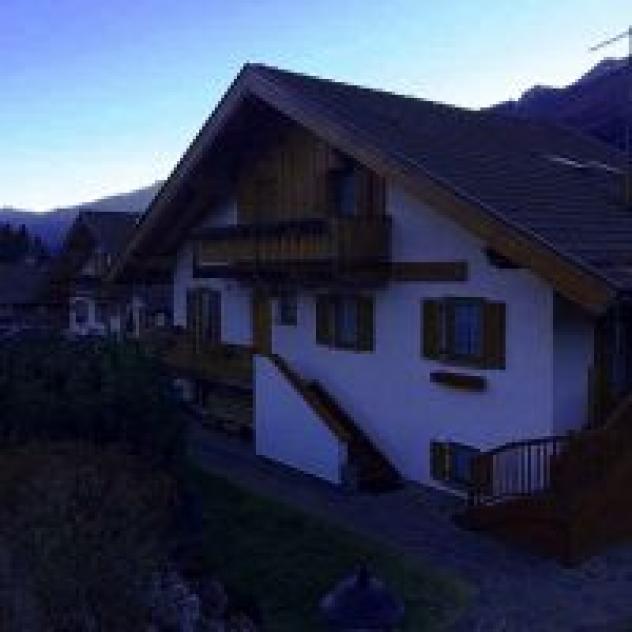 Majon Ladina - Foto 4
