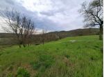Azienda agricola in vendita a Manciano 360000 mq  Rif: 1405831