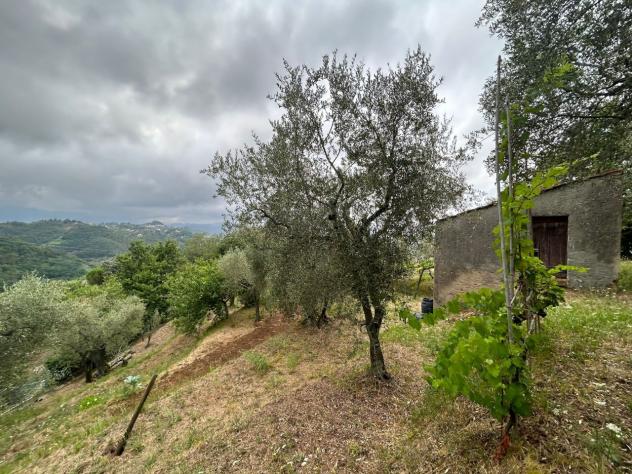 Agricolo in vendita a Arcola - Foto 8