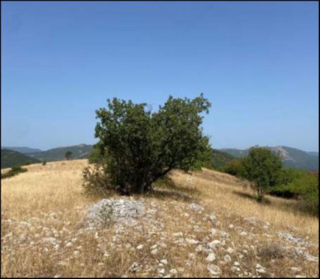 Immobile in asta di 48900 m² in vendita a Oricola - Foto 3