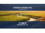 Immobile in asta di 155507 m² in vendita a Coreno Ausonio