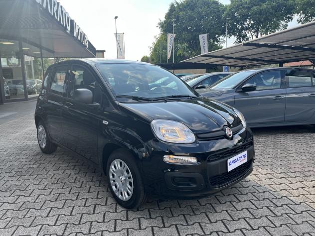 FIAT Pandina 1.0 FireFly 65cv S&S Hybrid Icon VARI COLORI - Foto 3