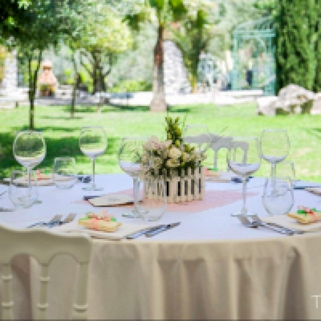 Tenuta Oliva Location per Eventi Ristorante -Pizzeria - Foto 3
