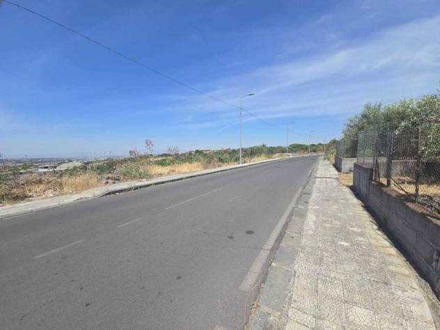 Uliveto in vendita a Camporotondo Etneo - Foto 3