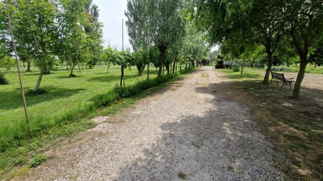 Terreno Agricolo - Rif. 2457 - Foto 3