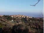 TERRENO AGRICOLO di 3000 mq (GAMBASSI TERME) rif. G 553