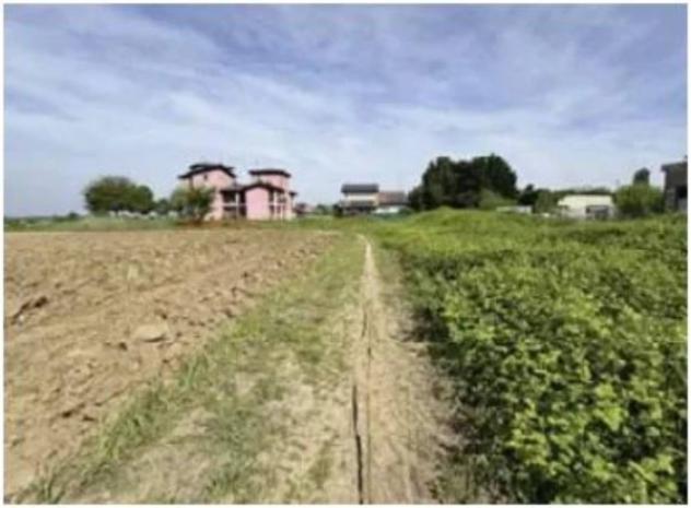 Immobile in asta di 5923 m² in vendita a Nogara - Foto 4