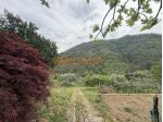 OCCASIONE UNICA IN CAMPAGNA