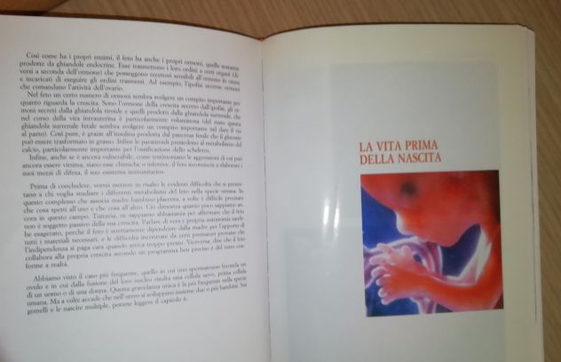 "Aspetto un Bambino" Una guida "giorno per giorno" pag. 384 -Laurence Pernoud - Foto 4