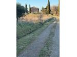 Azienda agricola in vendita a Capanne Ricci - Cinigiano 500 mq  Rif: 1425074