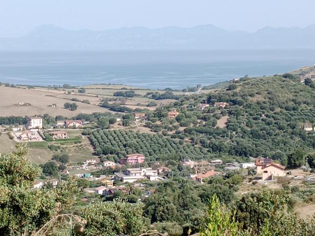 Agricolo in Via Sorrento - Foto 4
