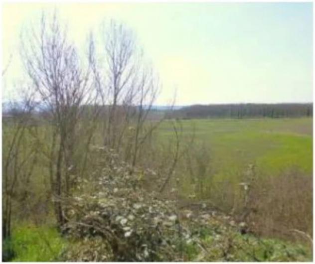 Immobile in asta di 30051 m² in vendita a Arezzo - Foto 2