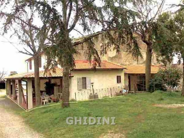 COLONICA di 8 vani e di 200 mq (MAGLIANO IN TOSCANA - POGGIO LA MOZZA) rif. 1017.163M - Foto 3