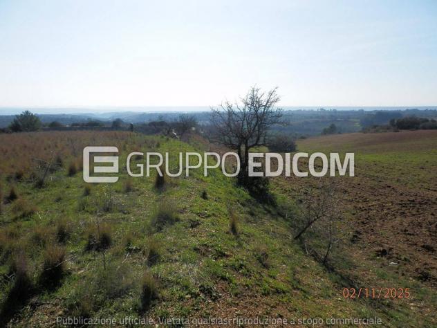 Terreno di 46370 mq in vendita a Montescaglioso - Rif. 4555042 - Foto 15