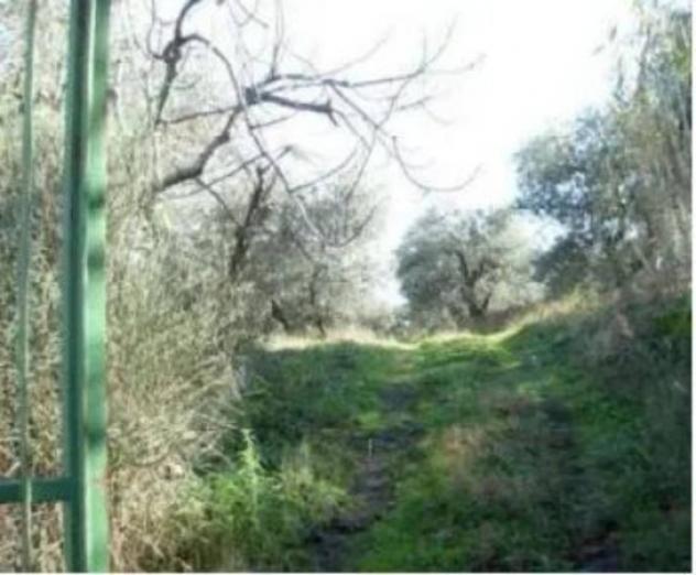 Immobile in asta di 7358 m² in vendita a Barile - Foto 4