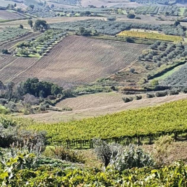 Immobile in asta di 5080 m² in vendita a Casalbordino - Foto 6